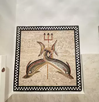 Foto annuncio 37