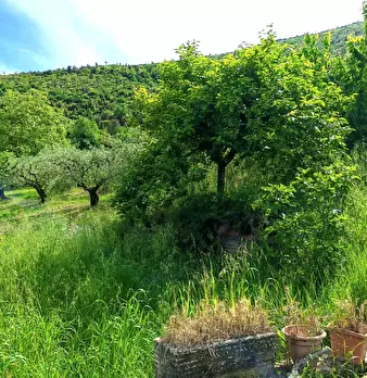 Foto annuncio 13
