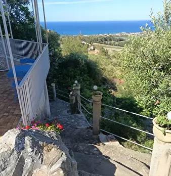 Foto annuncio 109