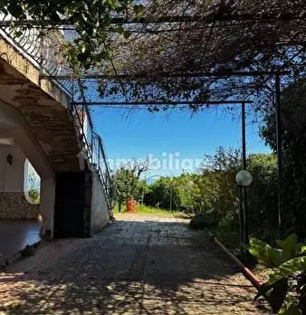 Foto annuncio 40