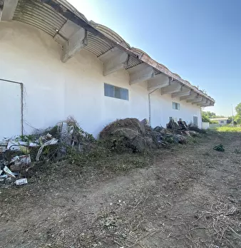 Foto annuncio 13