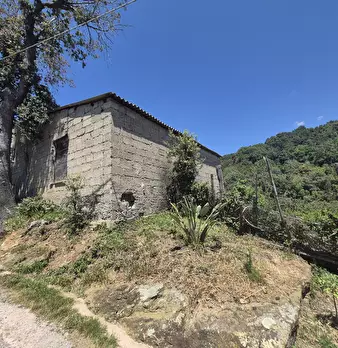 Foto annuncio 18