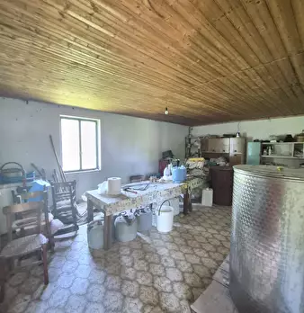 Foto annuncio 12