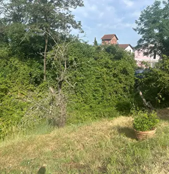 Foto annuncio 23