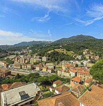 Foto annuncio 31