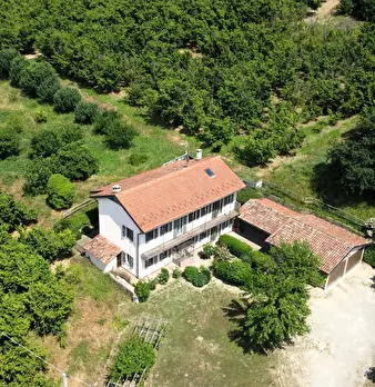Foto annuncio 1