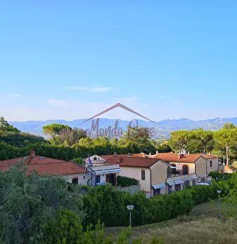 Foto annuncio 52