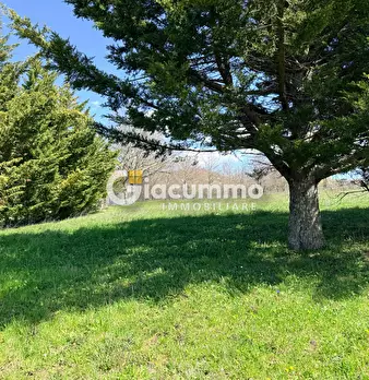 Foto annuncio 32