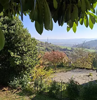 Foto annuncio 4