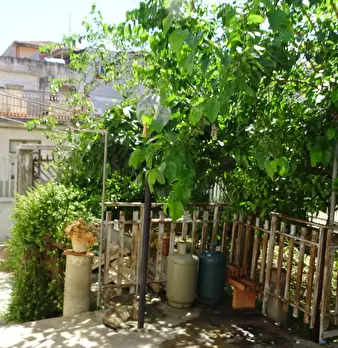 Foto annuncio 20