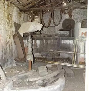 Foto annuncio 7
