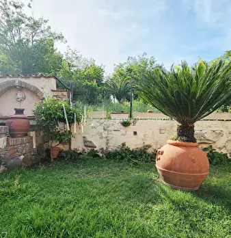 Foto annuncio 8