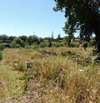 Foto annuncio 4