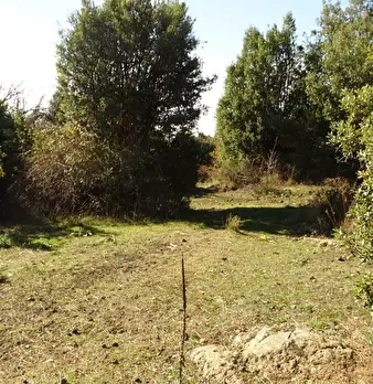 Foto annuncio 16