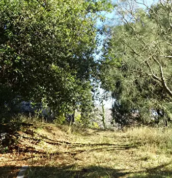 Foto annuncio 12