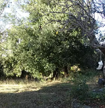 Foto annuncio 3