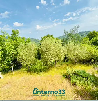 Foto annuncio 11