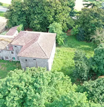 Foto annuncio 37