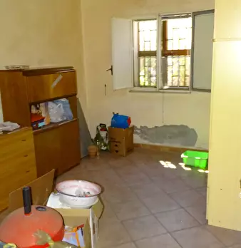 Foto annuncio 7