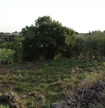 Foto annuncio 9