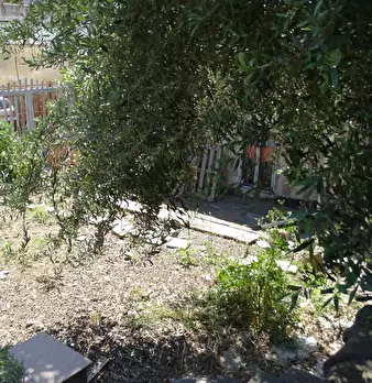 Foto annuncio 18