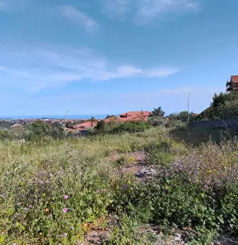 Foto annuncio 11