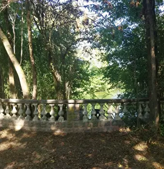 Foto annuncio 34