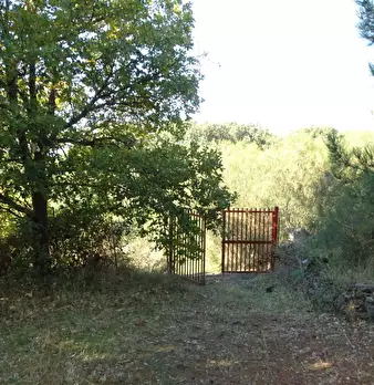 Foto annuncio 11