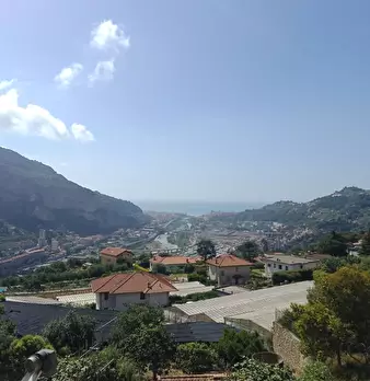 Foto annuncio 10