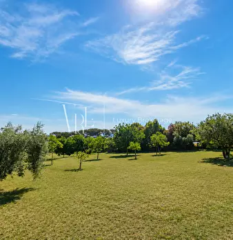 Foto annuncio 19