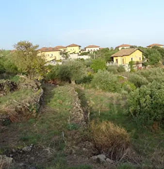Foto annuncio 4