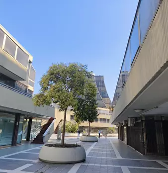 Foto annuncio 2