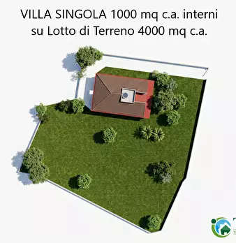 Foto annuncio 46