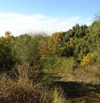 Foto annuncio 13