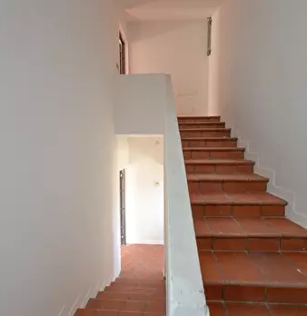 Foto annuncio 57