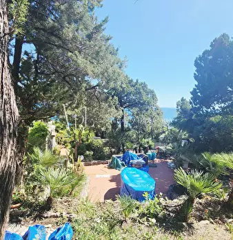 Foto annuncio 9