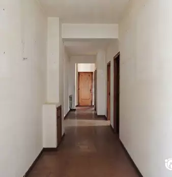 Foto annuncio 34