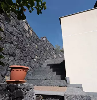 Foto annuncio 48