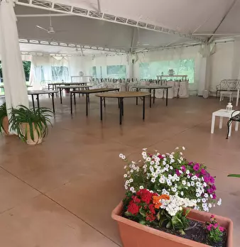 Foto annuncio 30