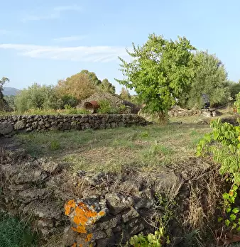 Foto annuncio 1