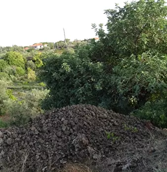 Foto annuncio 10
