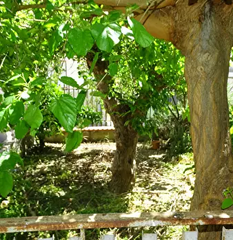 Foto annuncio 19