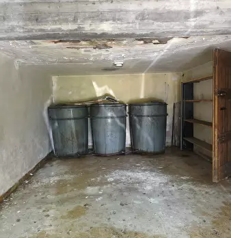Foto annuncio 36