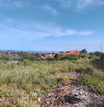 Foto annuncio 8