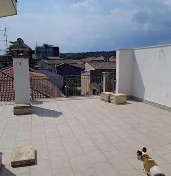 Foto annuncio 8