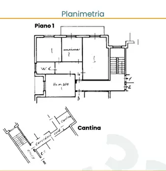 Foto annuncio 18
