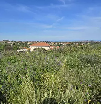 Foto annuncio 6