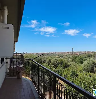 Foto annuncio 9