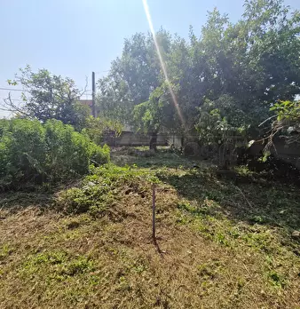 Foto annuncio 22