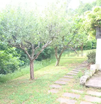 Foto annuncio 63